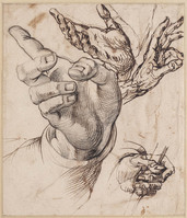 A+ 013
<br/>
Vier studies van handen
<br/>
<em>Passerotti, Bartolomeo (1529-1592)</em>